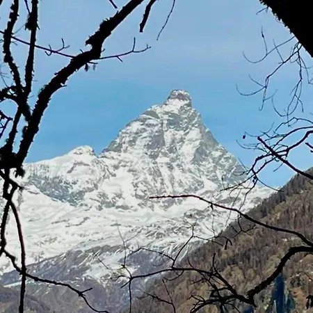 Casa Olivera Appartement