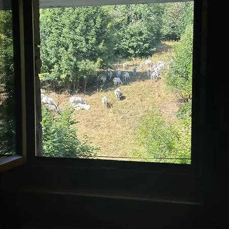 Casa Olivera * Limone Piemonte