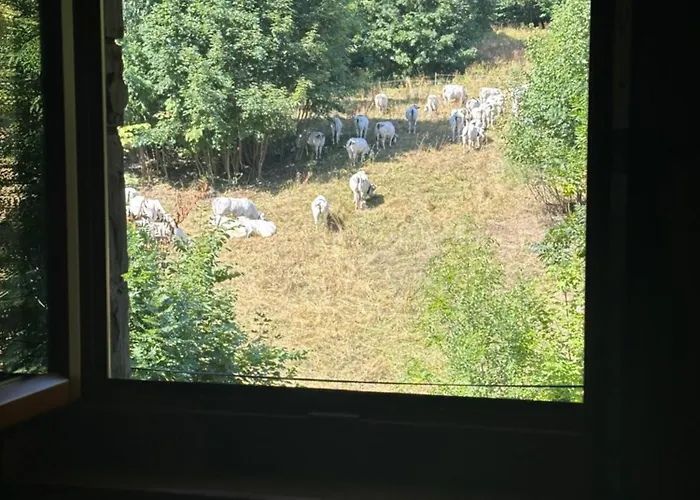 Casa Olivera * Limone Piemonte